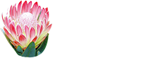 Decoflorart